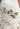 8 932 546 - Beige